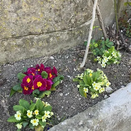 Ca' Di Lucchini Nyaraló *