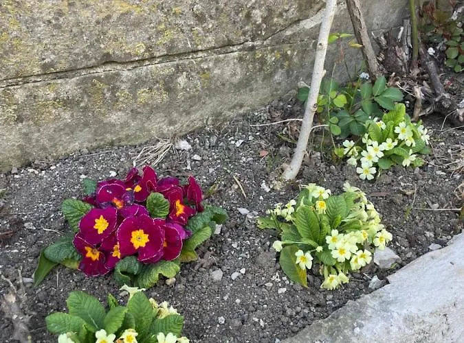 Ca' Di Lucchini بيت للعطل *